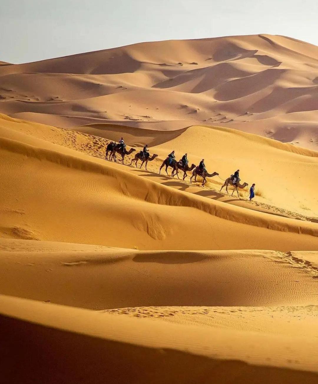 Khamlia Luxury Desert Camp Merzouga Ngoại thất bức ảnh